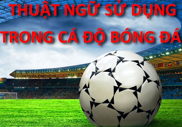 Những thuật ngữ cá độ bóng đá người mới chơi cần biết