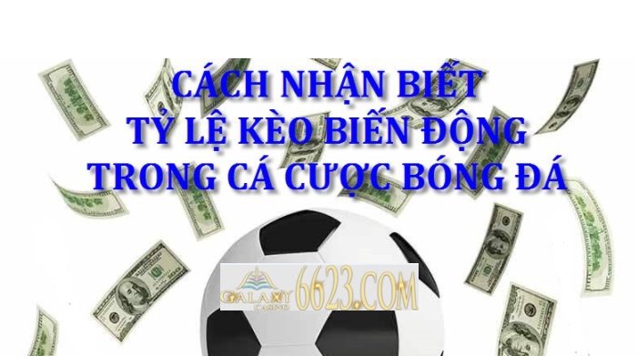 Biến động kèo là gì? cách nhận biết tỷ lệ kèo biến động