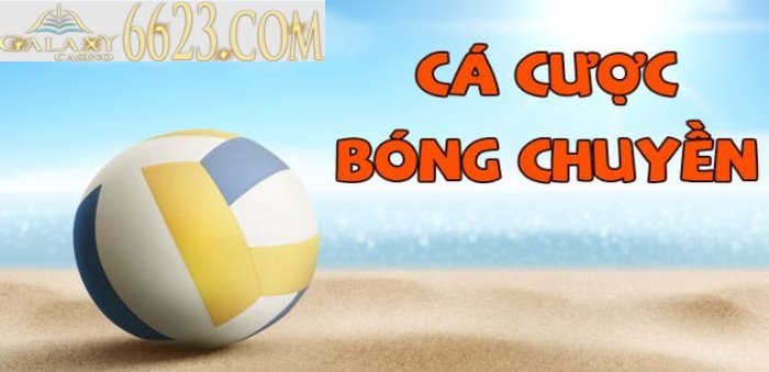 Cá cược bóng chuyền là gì? Luật cá cược bóng chuyền chi tiết nhất