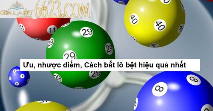 Lô bệt là gì? Ưu, nhược điểm, Cách bắt lô bệt hiệu quả nhất