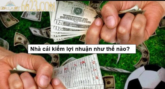Nhà cái bóng đá là gì? Nhà cái kiếm lợi nhuận như thế nào?
