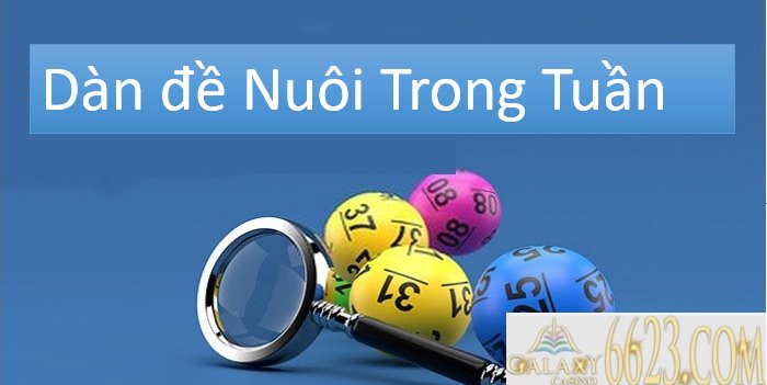 Phương Pháp Soi Dàn đề Nuôi Trong Tuần Chính Xác Nhất