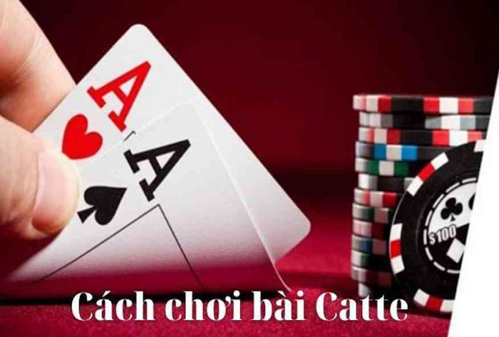 Kinh nghiệm đoán trước bài Catte siêu chuẩn xác từ cao thủ