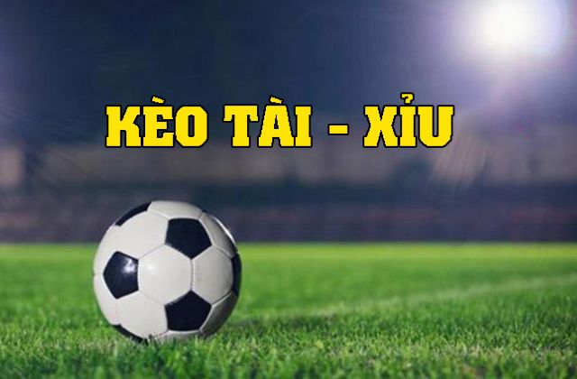 Tài Xỉu 2 Trái Là Gì? Hướng Dẫn Chơi Chuẩn Cho Người Mới